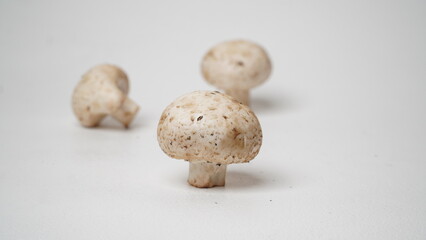 Fresh champignons mushroom isolated on white background