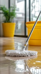 Mop Cleaning Wet Floor In A Bathroom