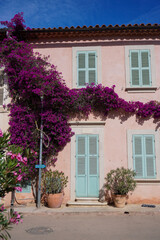 old house with flowers