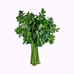 Fototapeta premium Bundle of green celery on white background, fresh organic, vertical, studio shot