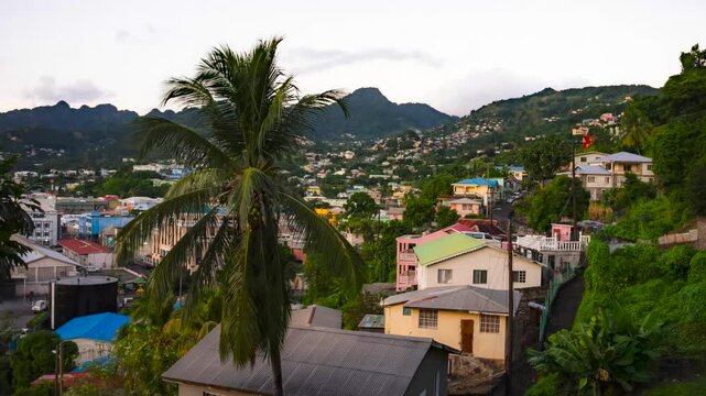 Timelapse on the island of St. Vincent of a palm tree moving in the wind with colorful homes, vehicles driving, and a mountain in the distance