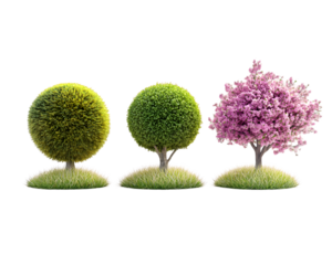 Three stylized trees showcasing seasonal transitions from spring Transparent Background, PNG