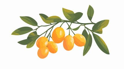 Detailed Kumquat Fruit Vector Illustration for Food Blogs and Graphic Designs