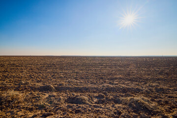 a plowed agricultural field during a sunny January day