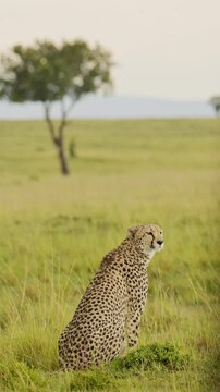Kenyan Stock Videos – 61,043 HD & 4K Footage Clips | Adobe Stock