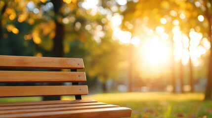 Sunlit bench invites quiet reflection in a peaceful park setting
