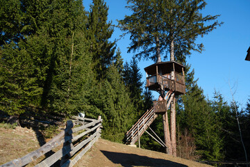 Tree house. House in the forest. Mountain view. Forest. Mountain landscape. Height. Atmosphere....