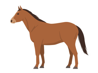 馬のベクターイラスト