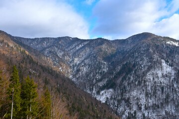Forest covered slopes under Potoška Gora in winter in Gorenjska, Slovenia