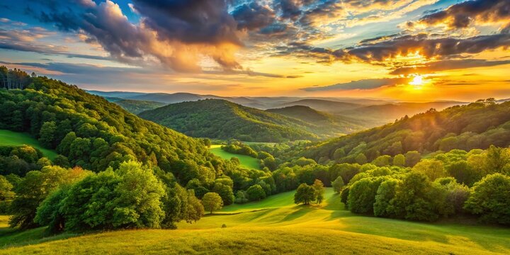 Serene Radnor State Park Landscape: Majestic Trees and Rolling Hills at Sunset