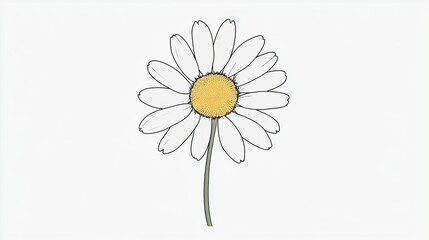 Simple illustration of a white daisy with a yellow center on a clean white background. The minimalistic design emphasizes purity and the beauty of nature. Generative AI.