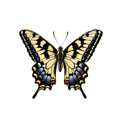 Naklejka premium Old World Swallowtail Butterfly: A detailed close-up of an Old World Swallowtail butterfly, showcasing its vibrant yellow, black, and blue markings.