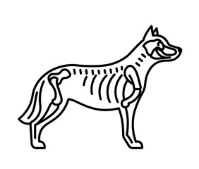 Skeleton of dog, line icon. Bones, skull, ribs, shoulder blades, spine - dog bone structure icon. Veterinary linear illustration, pictogram, editable strokes.