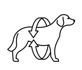 Dog health, line icon. Silhouette of a dog with circular arrows. Veterinary linear illustration, pictogram, editable strokes.