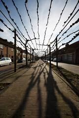 Vibrant street in Willemstad showcases striking shadows and unique architectural charm lined with outdoor structures