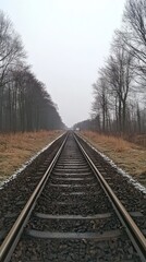 Fototapeta premium Tranquil Railway Path Through Winter Woods