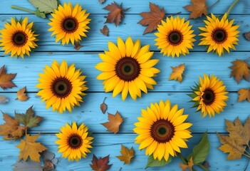 Fototapeta premium sunflowers on blue background