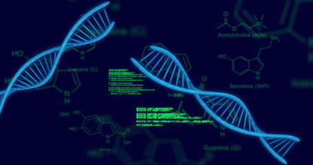 Image of scientific data processing and dna strands over dark background