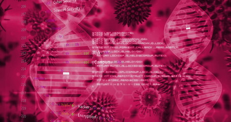 Image of digital data processing, blood cells over dna strands spinning