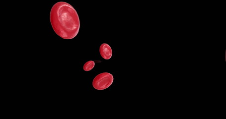 Image of red blood cells over black background