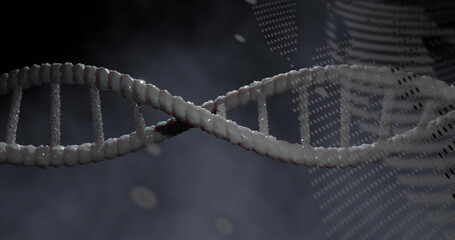 Image of dna strand spinning and data processing on grey background