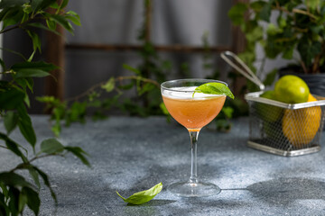 Refreshing pink cocktail garnished with basil in elegant glassware