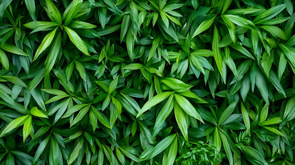 Fototapeta premium Lush green foliage background, vibrant leaves texture, natural pattern, ideal for design