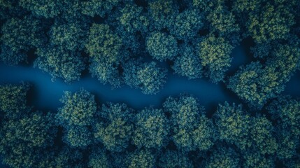 Aerial View of a Winding River Through Lush Green Forest, Nature Concept, Serenity, Environmental Beauty, Wilderness, Natural Landscape