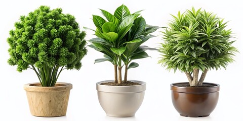 Three Artificial Houseplants on White Background - High-Resolution Stock Photo