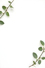Obraz premium Minimalist Green Plant and Leaf Design for Environmental Conservation Themes