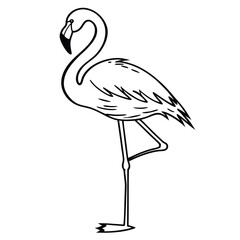 Exotic Flamingo Pose
A flamingo standing on one leg, illustrated with long, elegant line art strokes
Adobe Illustrator Artwork