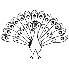 Peacock with Flowing Feathers
A peacock spreading its elegant feathers, drawn in intricate, continuous lines
