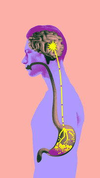 Abstract side view of human anatomy showing connection between brain and stomach, symbolizing gut-brain axis and neural health. Conceptual design. Concept of medicine, health care