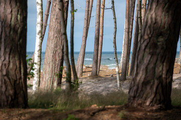 Wybrzeże bałtyckie