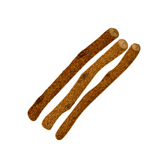 Vector Colorful Textured Illustration of Wooden Sticks Isolated on White Background