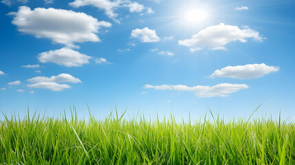Sunny day, green grass field, blue sky, fluffy clouds; perfect for nature, spring, or summer backgrounds