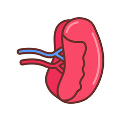 Spleen Filled Icons , Vector illustration
