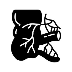 Appendix Glyph Icon, Vector illustration