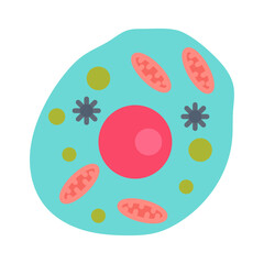 Human Cell Flat Icons, Vector illustration