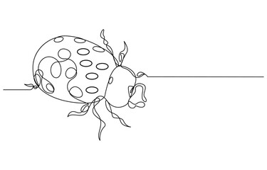 Ladybug Vector illustration continuous line drawing, Single continuous line drawing of adorable ladybug