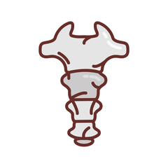 Coccyx Filled Icons , Vector illustration