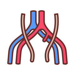 Common Iliac Vein Filled Icons , Vector illustration