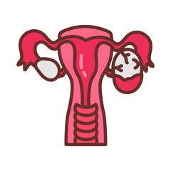 Corpus Luteum Filled Icons , Vector illustration