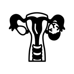 Corpus Luteum Glyph Icon, Vector illustration