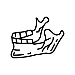 Jaw Bone Outline Icon, Vector illustration