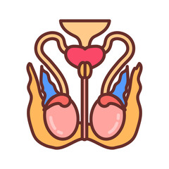 Testicle Nerve Filled Icons , Vector illustration