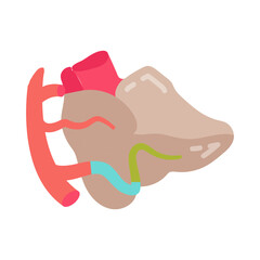 Cerebellar Arteries Flat Icons, Vector illustration