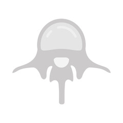 Lumbar Vertebra Flat Icons, Vector illustration