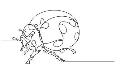 Ladybug Vector illustration continuous line drawing, Single continuous line drawing of adorable ladybug
