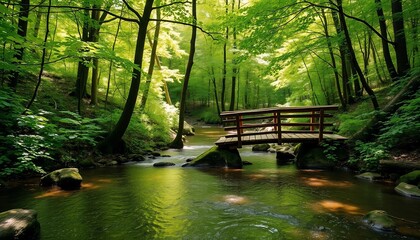 Tranquil Forest Stream Bridge: A wooden bridge spans a peaceful forest stream, sunlight filtering through the verdant canopy and dappling the water below.
